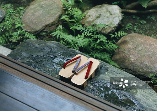 寻常之物的非凡之美 摄影中的日常物品艺术